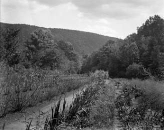 Gift of Margaret G. Giles 2015.87.1741 © 2016 The Connecticut Historical Society.