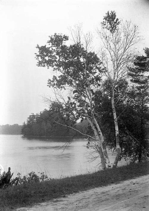 Gift of Margaret G. Giles 2015.87.1782 © 2016 The Connecticut Historical Society.