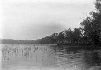Gift of Margaret G. Giles 2015.87.1784 © 2016 The Connecticut Historical Society.
