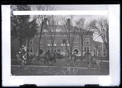 Gift of Margaret G. Giles 2015.87.1836 © 2016 The Connecticut Historical Society.