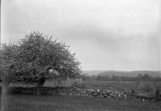 Gift of Margaret G. Giles 2015.87.1861 © 2016 The Connecticut Historical Society.