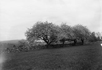 Gift of Margaret G. Giles 2015.87.1862 © 2016 The Connecticut Historical Society.
