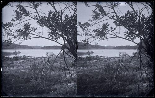 Gift of Margaret G. Giles 2015.87.1996 © 2016 The Connecticut Historical Society.