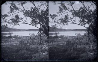 Gift of Margaret G. Giles 2015.87.1996 © 2016 The Connecticut Historical Society.