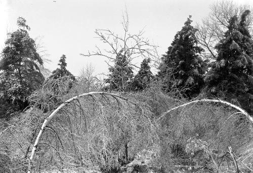 Gift of Margaret G. Giles 2015.87.2054 © 2016 The Connecticut Historical Society.
