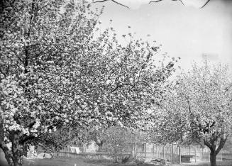 Gift of Margaret G. Giles 2015.87.2085 © 2016 The Connecticut Historical Society.