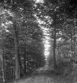 Gift of Margaret G. Giles 2015.87.2343 © 2016 The Connecticut Historical Society.