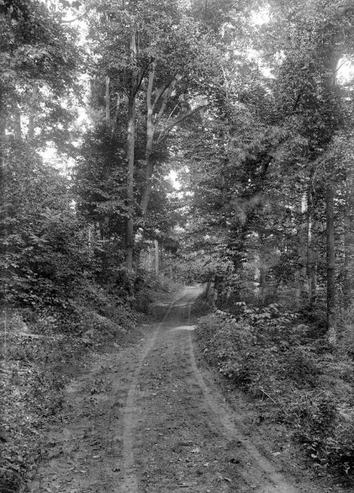 Gift of Margaret G. Giles 2015.87.2439 © 2016 The Connecticut Historical Society.