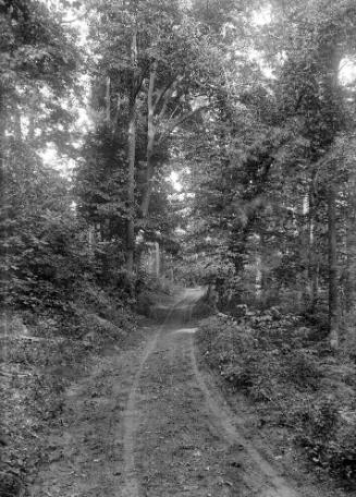 Gift of Margaret G. Giles 2015.87.2439 © 2016 The Connecticut Historical Society.