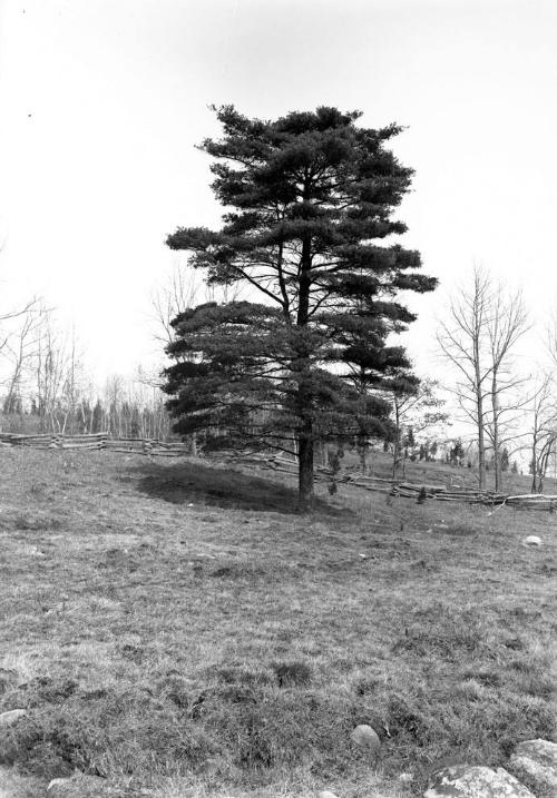 Gift of Margaret G. Giles 2015.87.113 © 2016 The Connecticut Historical Society.