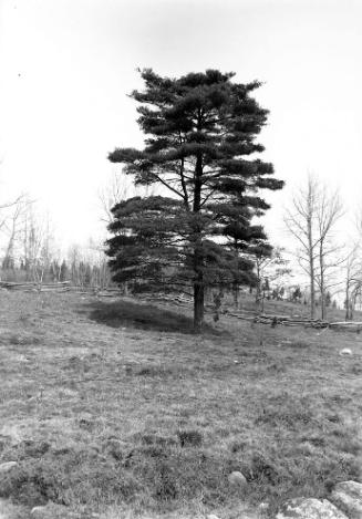 Gift of Margaret G. Giles 2015.87.113 © 2016 The Connecticut Historical Society.