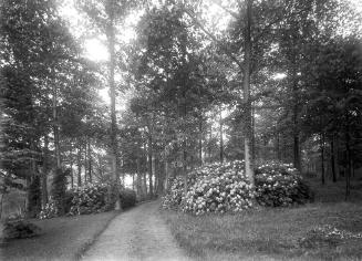 Gift of Margaret G. Giles 2015.87.153 © 2016 The Connecticut Historical Society.