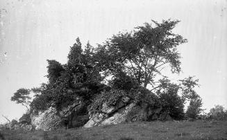 Gift of Margaret G. Giles 2015.87.3184 © 2016 The Connecticut Historical Society.