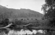 Gift of Margaret G. Giles 2015.87.3185 © 2016 The Connecticut Historical Society.