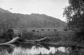 Gift of Margaret G. Giles 2015.87.3185 © 2016 The Connecticut Historical Society.