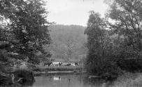 Gift of Margaret G. Giles 2015.87.3186 © 2016 The Connecticut Historical Society.