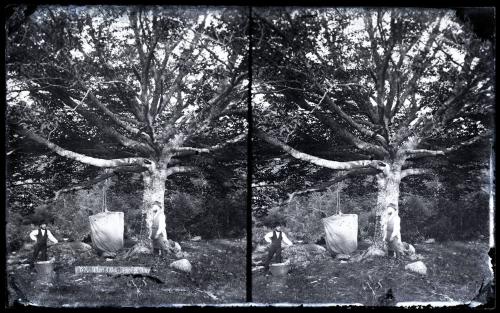 Gift of Margaret G. Giles 2015.87.3210 © 2016 The Connecticut Historical Society.