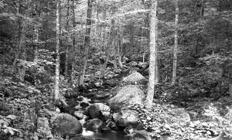 Gift of Margaret G. Giles 2015.87.3213 © 2016 The Connecticut Historical Society.
