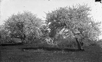 Gift of Margaret G. Giles 2015.87.3216 © 2016 The Connecticut Historical Society.