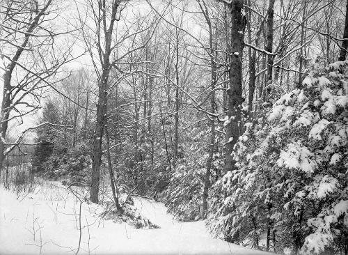 Gift of Margaret G. Giles 2015.87.3230 © 2016 The Connecticut Historical Society.