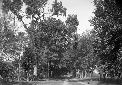 Gift of Margaret G. Giles 2015.87.3241 © 2016 The Connecticut Historical Society.