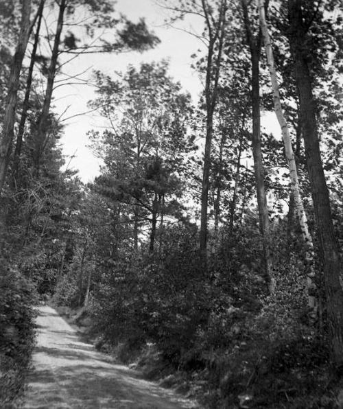 Gift of Margaret G. Giles 2015.87.3279 © 2016 The Connecticut Historical Society.