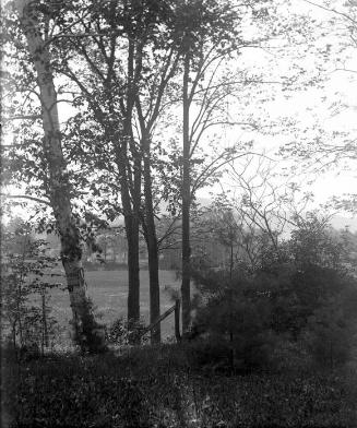 Gift of Margaret G. Giles 2015.87.3288 © 2016 The Connecticut Historical Society.