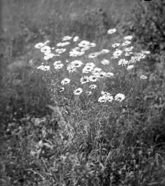 Gift of Margaret G. Giles 2015.87.3306 © 2016 The Connecticut Historical Society.