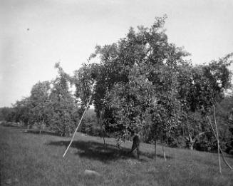 Gift of Margaret G. Giles 2015.87.3310 © 2016 The Connecticut Historical Society.