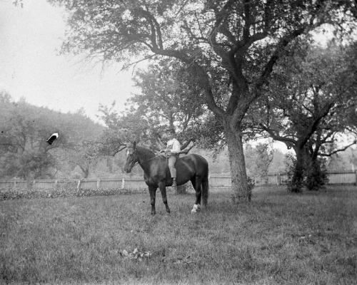 Gift of Margaret G. Giles 2015.87.3897 © 2016 The Connecticut Historical Society.