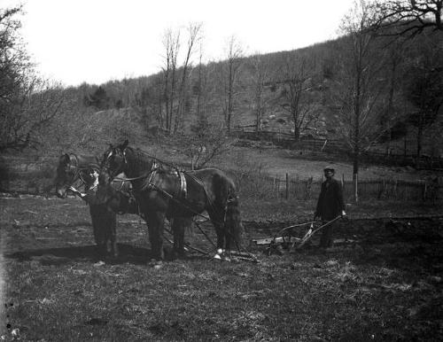Gift of Margaret G. Giles 2015.87.3899 © 2016 The Connecticut Historical Society.