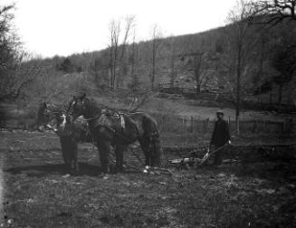 Gift of Margaret G. Giles 2015.87.3899 © 2016 The Connecticut Historical Society.