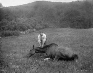 Gift of Margaret G. Giles 2015.87.3924 © 2016 The Connecticut Historical Society.