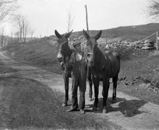 Gift of Margaret G. Giles 2015.87.3930 © 2016 The Connecticut Historical Society.