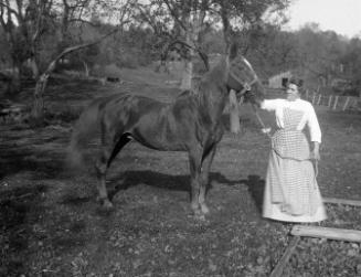 Gift of Margaret G. Giles 2015.87.3988 © 2016 The Connecticut Historical Society.