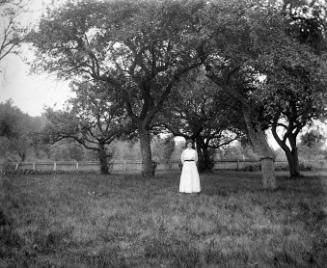 Gift of Margaret G. Giles 2015.87.4081 © 2016 The Connecticut Historical Society.