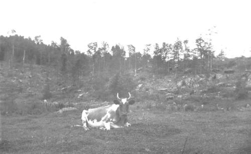 Gift of Margaret G. Giles 2015.87.4302 © 2016 The Connecticut Historical Society.