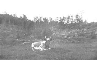 Gift of Margaret G. Giles 2015.87.4302 © 2016 The Connecticut Historical Society.