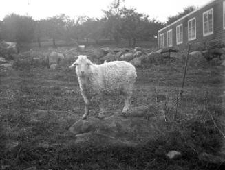 Gift of Margaret G. Giles 2015.87.4305 © 2016 The Connecticut Historical Society.