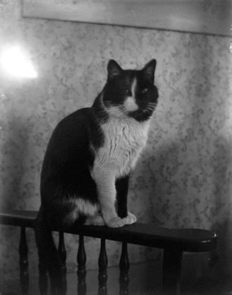 Gift of Margaret G. Giles 2015.87.4311 © 2016 The Connecticut Historical Society.