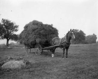 Gift of Margaret G. Giles 2015.87.4313 © 2016 The Connecticut Historical Society.