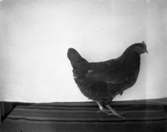 Gift of Margaret G. Giles 2015.87.4321 © 2016 The Connecticut Historical Society.