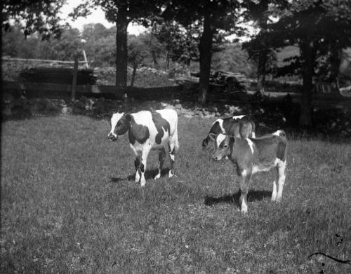 Gift of Margaret G. Giles 2015.87.4331 © 2016 The Connecticut Historical Society.