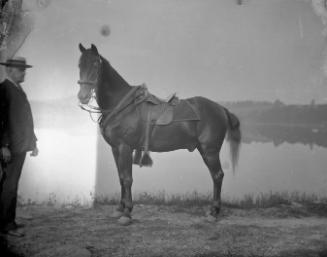 Gift of Margaret G. Giles 2015.87.4441 © 2016 The Connecticut Historical Society.