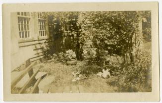 Gift of Grant Brown and Sylvia Brown, 2015.133.31 © 2017 The Connecticut Historical Society