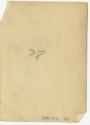 The Newman S. Hungerford Museum Fund, 2001.22.130, the Connecticut Historical Society.