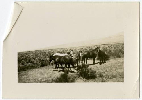 The Newman S. Hungerford Museum Fund, 2001.22.135, the Connecticut Historical Society.