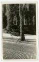 The Newman S. Hungerford Museum Fund, 2001.22.190, the Connecticut Historical Society.