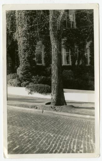 The Newman S. Hungerford Museum Fund, 2001.22.190, the Connecticut Historical Society.