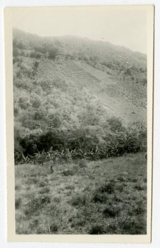 The Newman S. Hungerford Museum Fund, 2001.22.223, the Connecticut Historical Society.